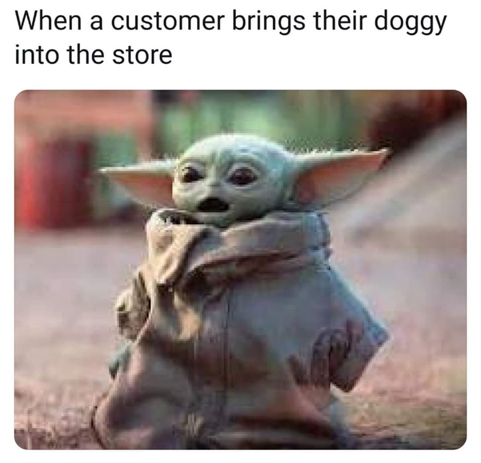 This meme is an image of the character Baby Yoda from the Star Wars series, with a surprised and delighted expression on his face. The image is captioned "When a customer brings their dog into the store". The meme is a humorous take on the common experience of being surprised or annoyed when a customer brings their pet into a store, and Baby Yoda's adorable reaction is meant to convey the shock and amusement of this situation.